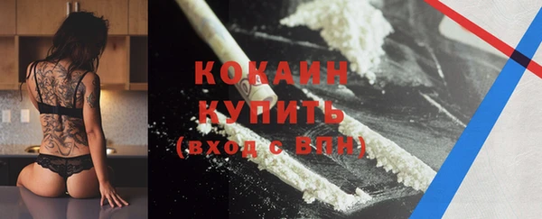 шишки Няндома
