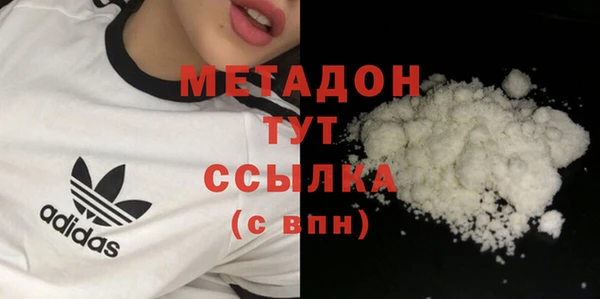 шишки Няндома