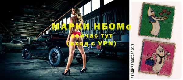 шишки Няндома