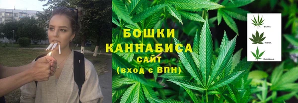 шишки Няндома
