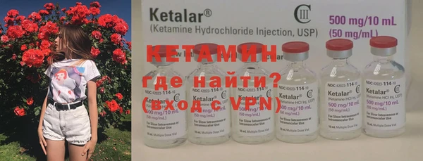 шишки Няндома